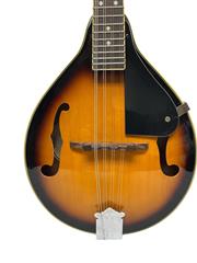 FENDER FM-100 A STYLE MANDOLIN  (le-ls)
